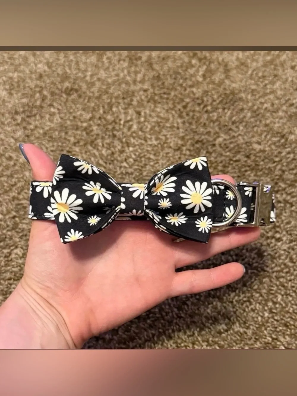 Daisy Bow Collar - Size Medium